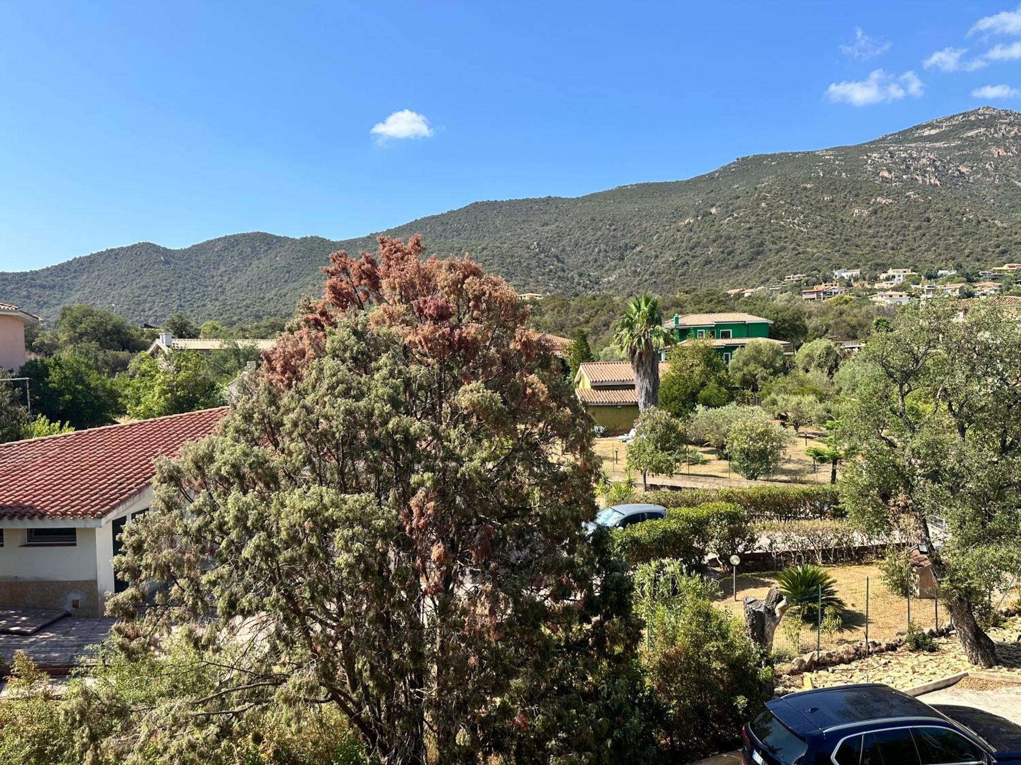 לינה וארוחת בוקר קאפוטרה Relais Del Poggio מראה חיצוני תמונה